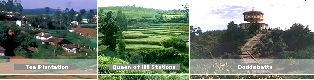 Ooty, Ooty City